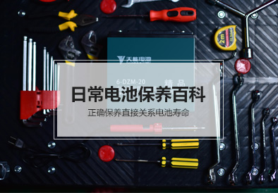 龙8国际