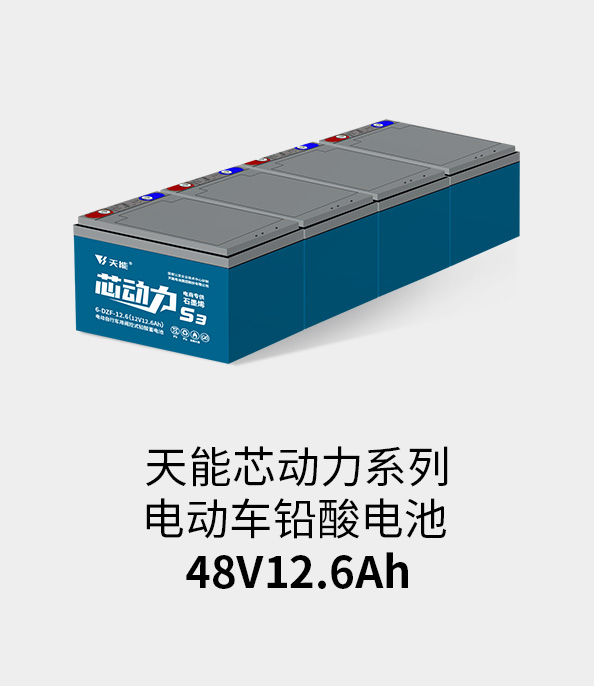 龙8国际48v12ah