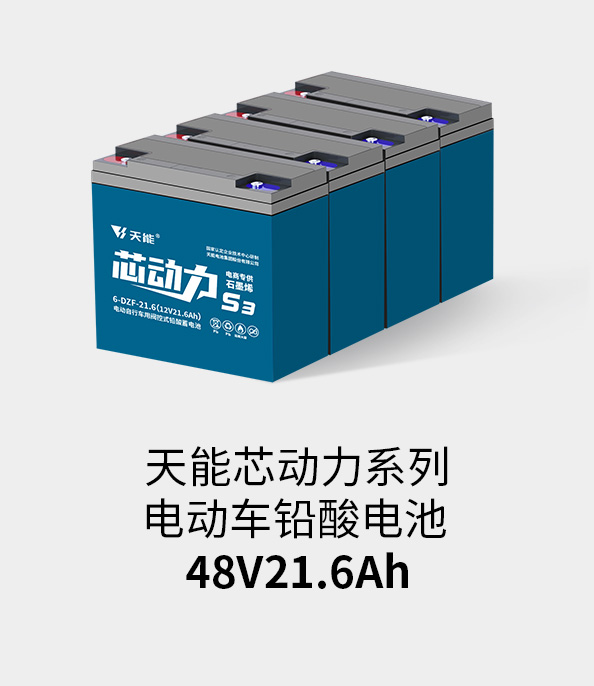龙8国际48v20ah