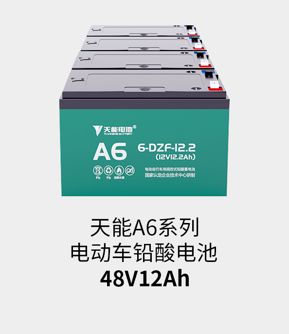 龙8国际48v12ah