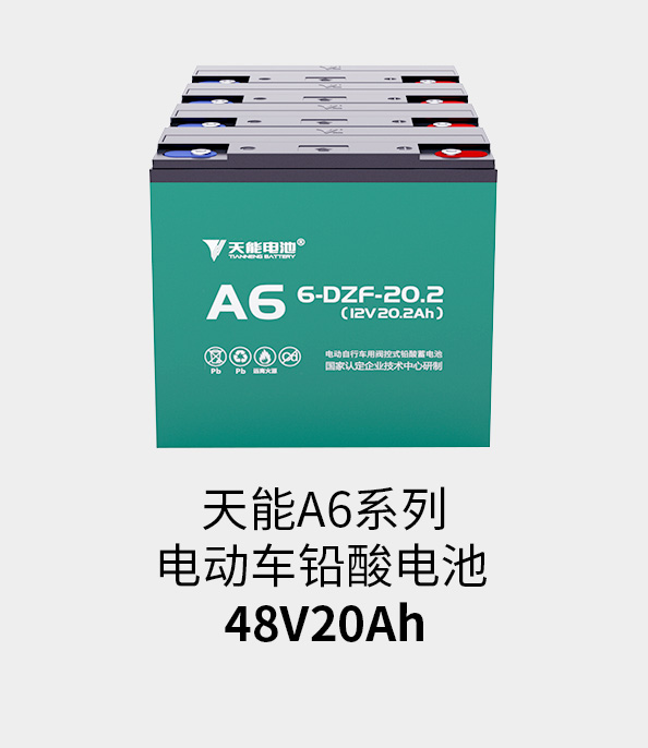 龙8国际48v20ah